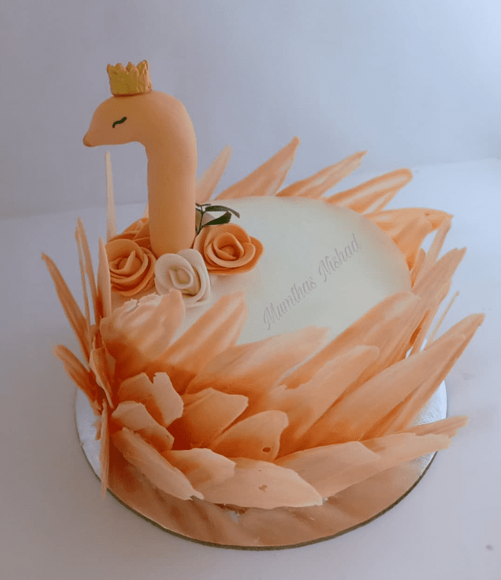 Nice Swan Cake