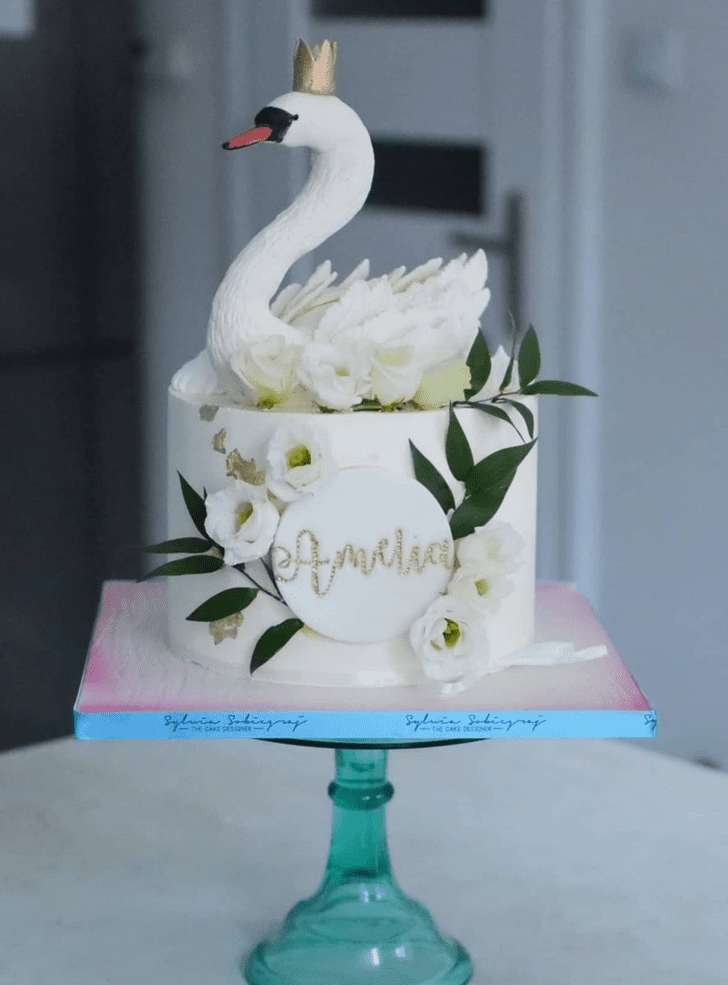Slightly Swan Cake