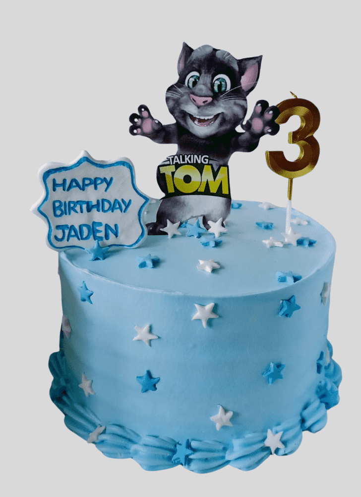 Dazzling Talking Tom Cake