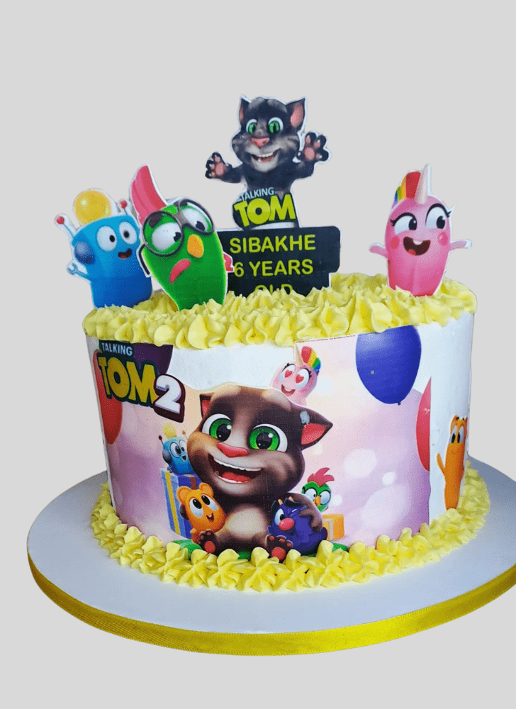 Ideal Talking Tom Cake