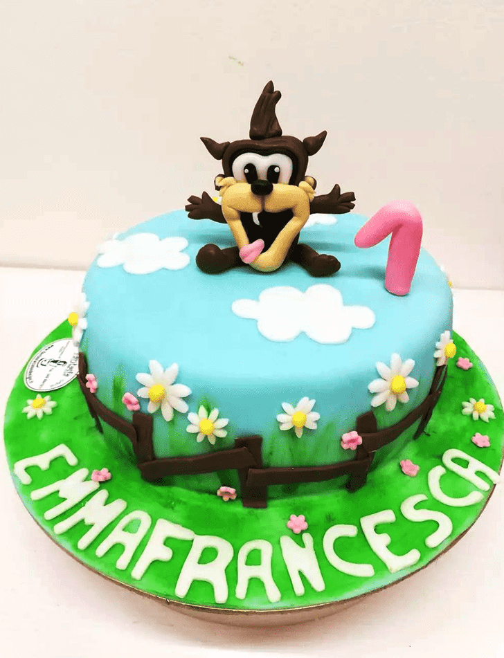 Magnetic Taz Cake