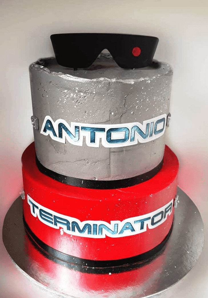 Splendid The Terminator Cake