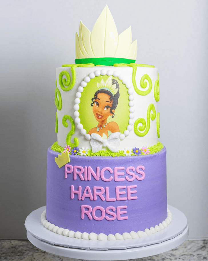 Fair The Princess and the Frog Cake