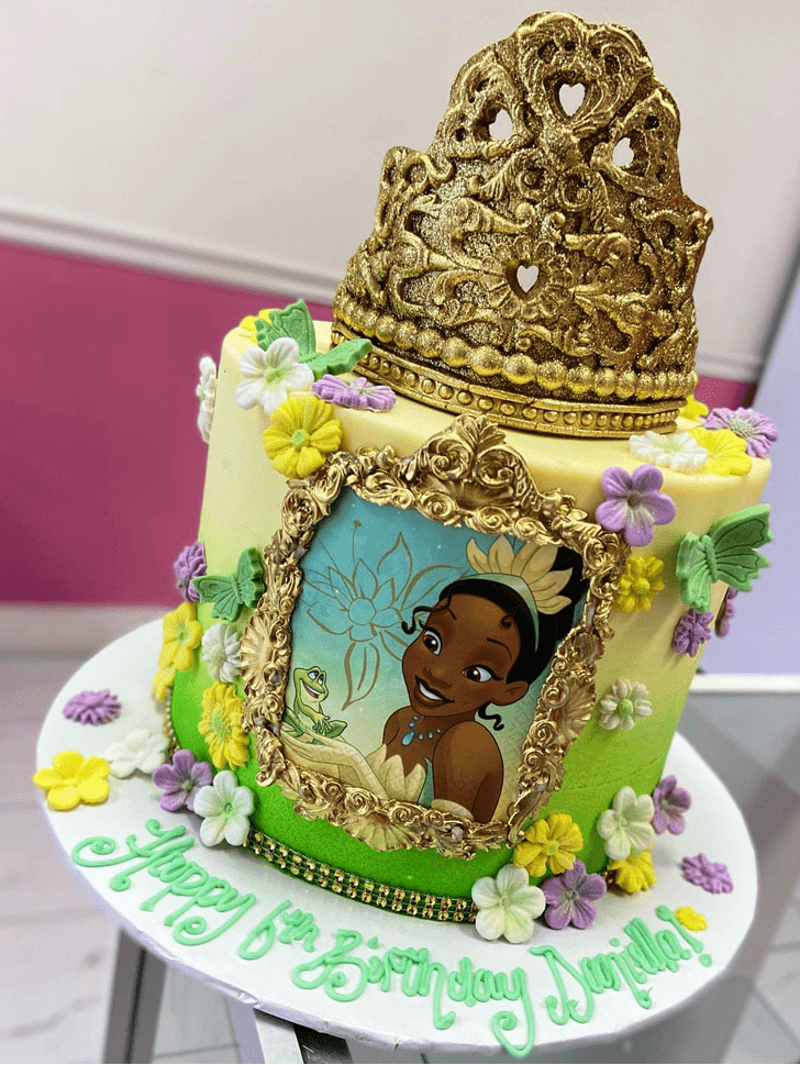 Excellent Tiana Cake