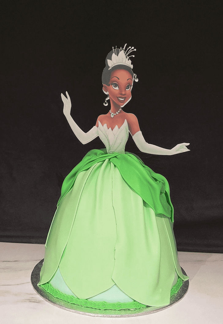 Magnetic Tiana Cake