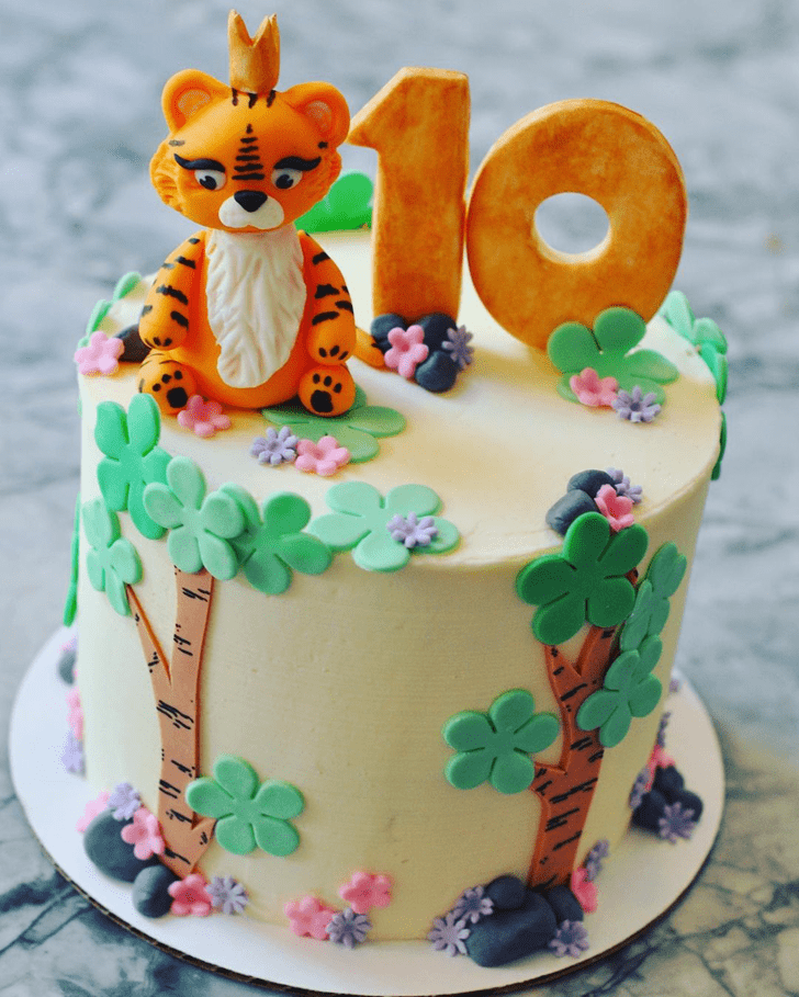 Magnetic Tiger Cake