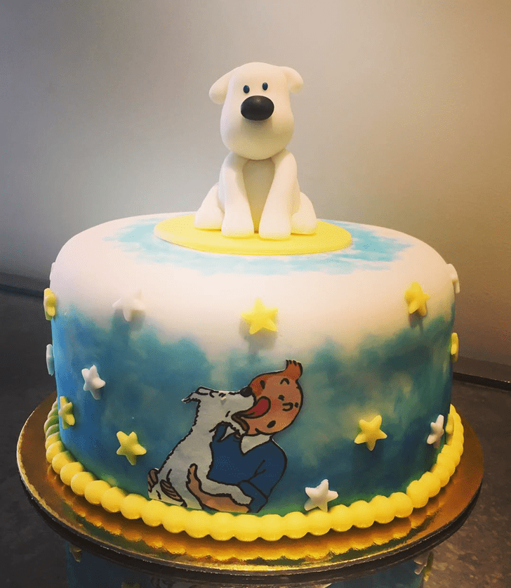 Delicate Tintin Cake