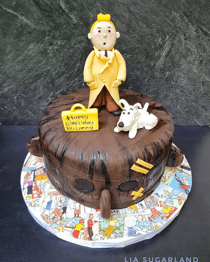 Handsome Tintin Cake