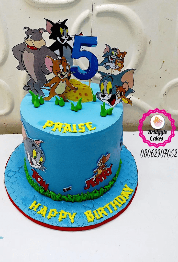 Classy Tom and Jerry Cake