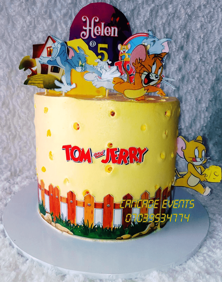Elegant Tom and Jerry Cake