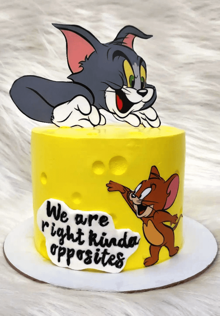 Exquisite Tom and Jerry Cake