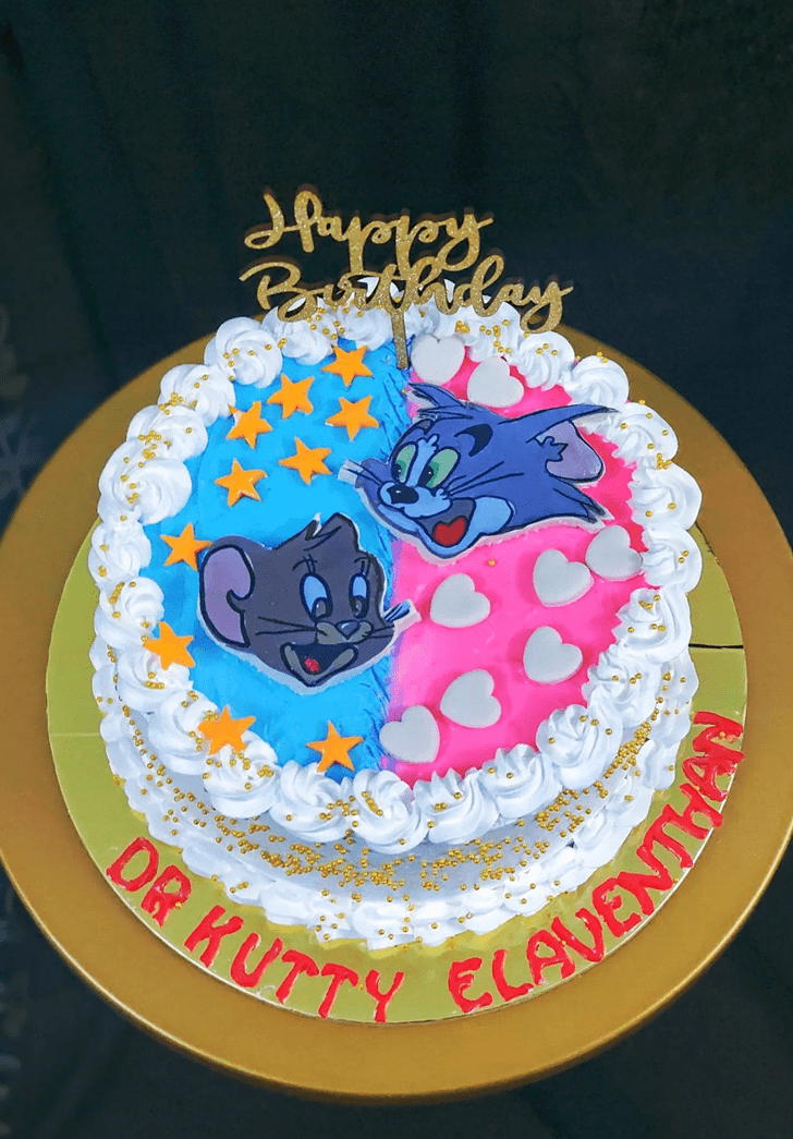 Fascinating Tom and Jerry Cake