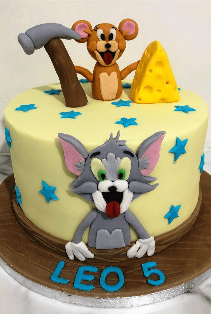 Gorgeous Tom and Jerry Cake