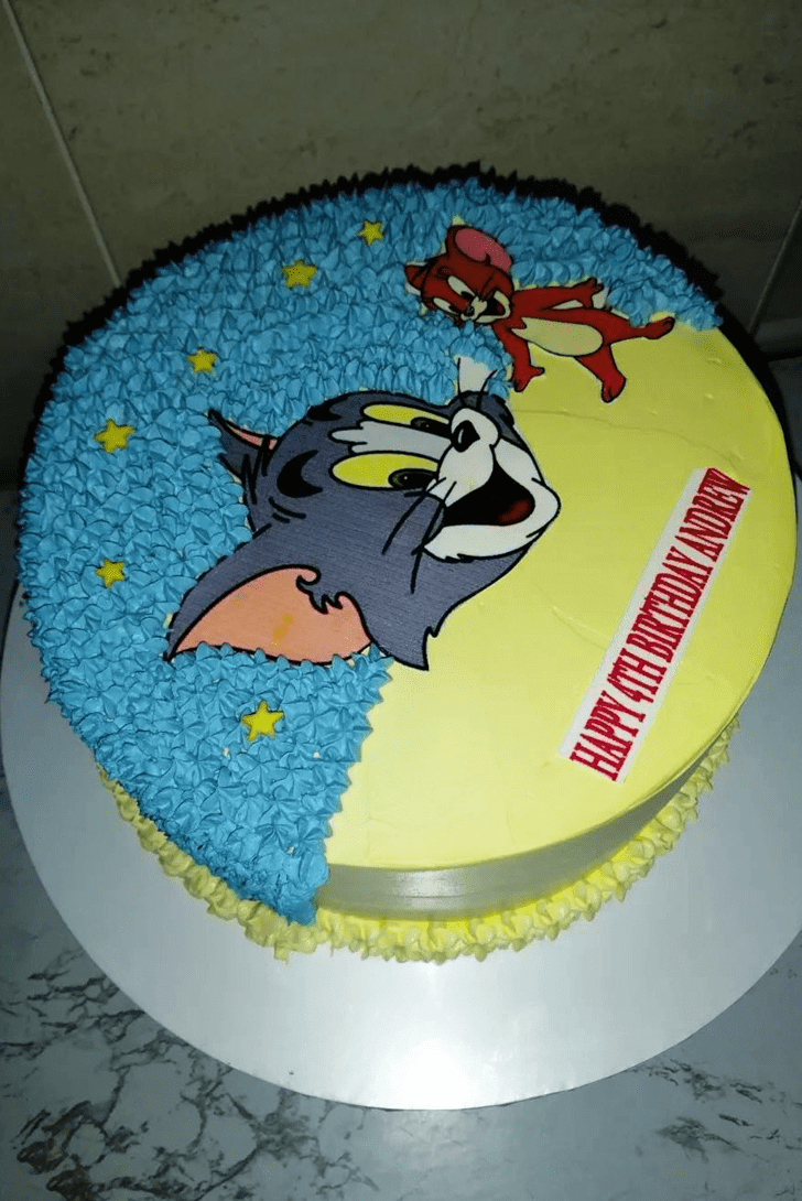Magnetic Tom and Jerry Cake