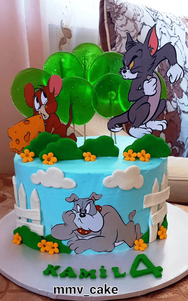 Marvelous Tom and Jerry Cake