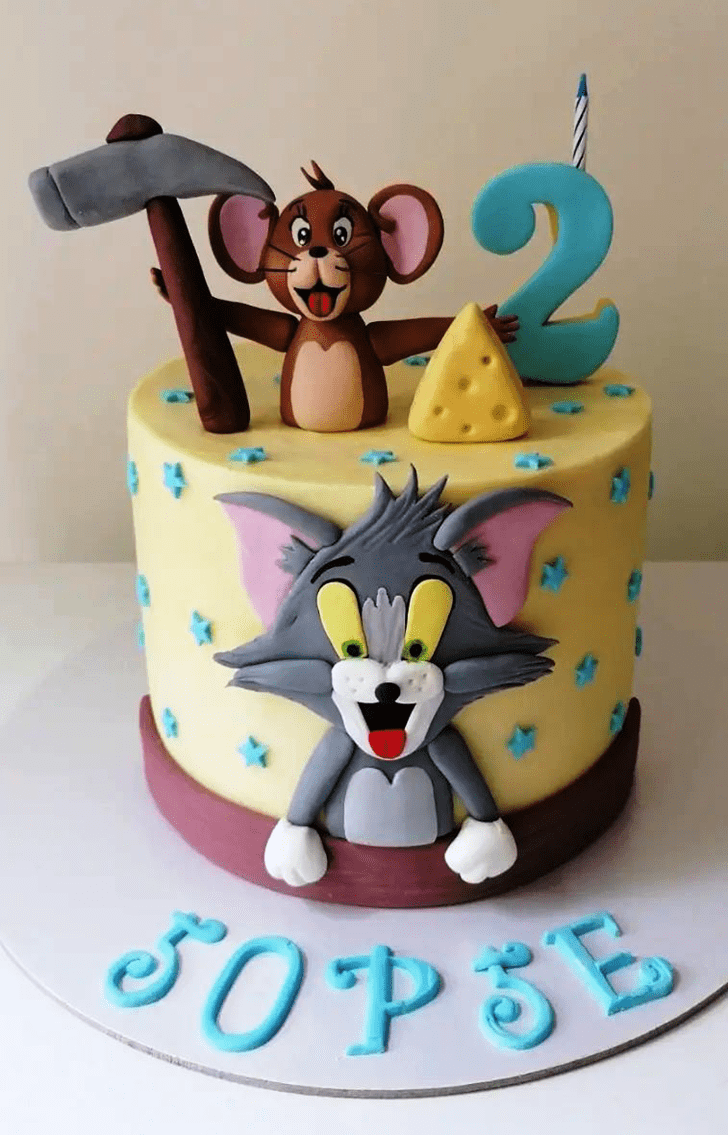 Radiant Tom and Jerry Cake