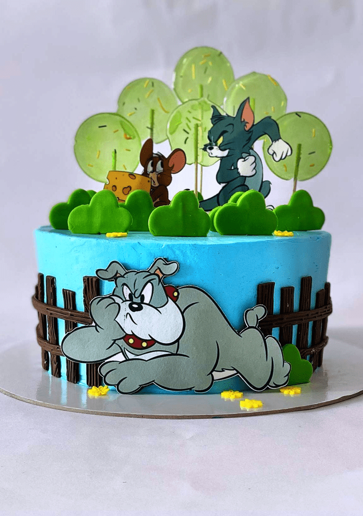 Wonderful Tom and Jerry Cake Design
