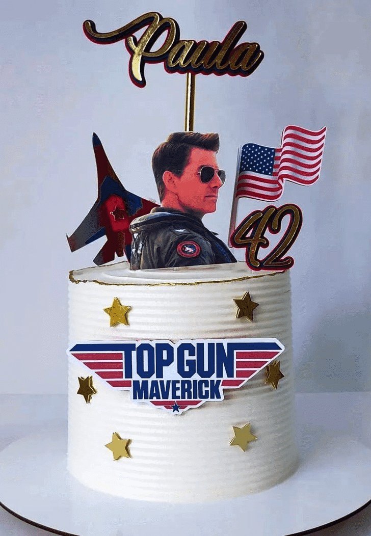 Comely Top Gun Cake