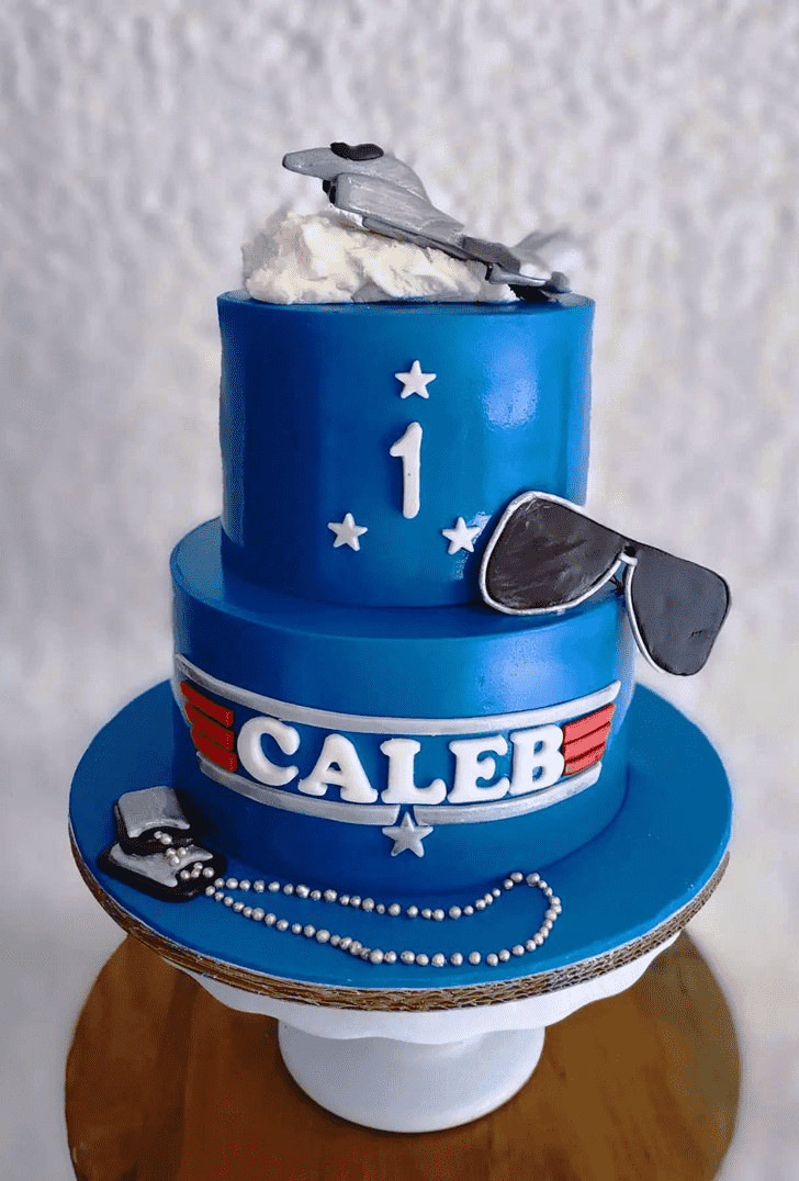 Elegant Top Gun Cake