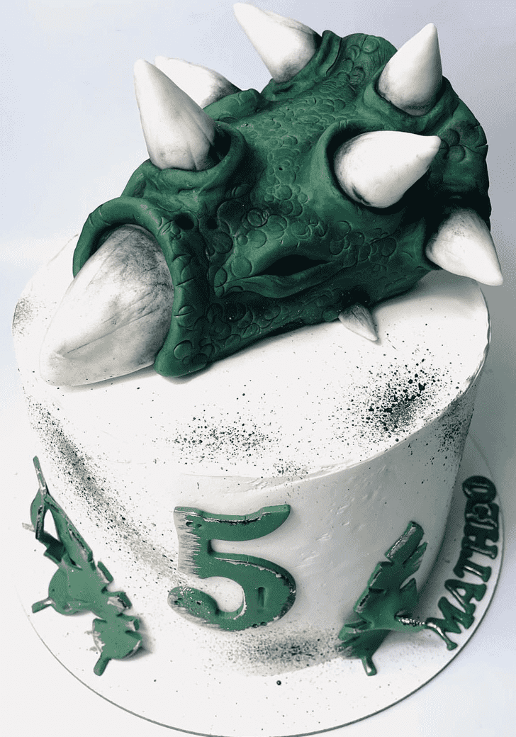 Lovely Triceratops Cake Design