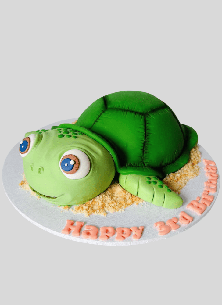 Angelic Turtle Cake
