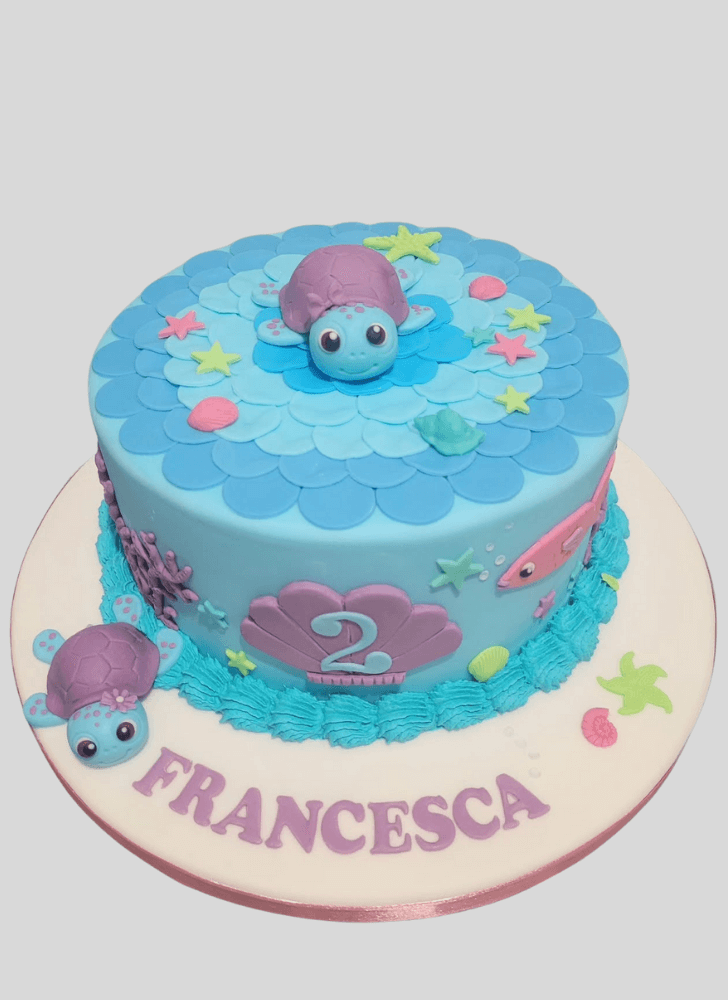 Charming Turtle Cake