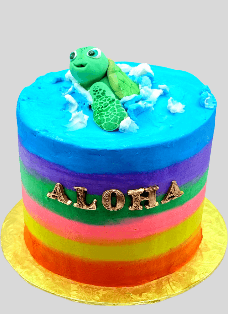 Comely Turtle Cake