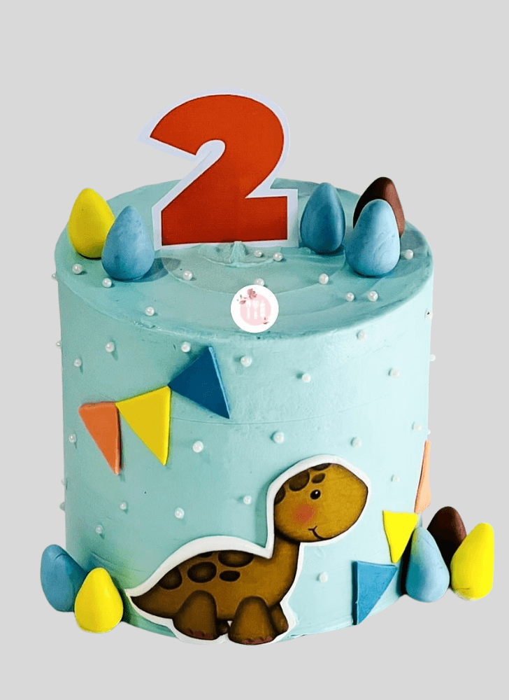 Cute Turtle Cake