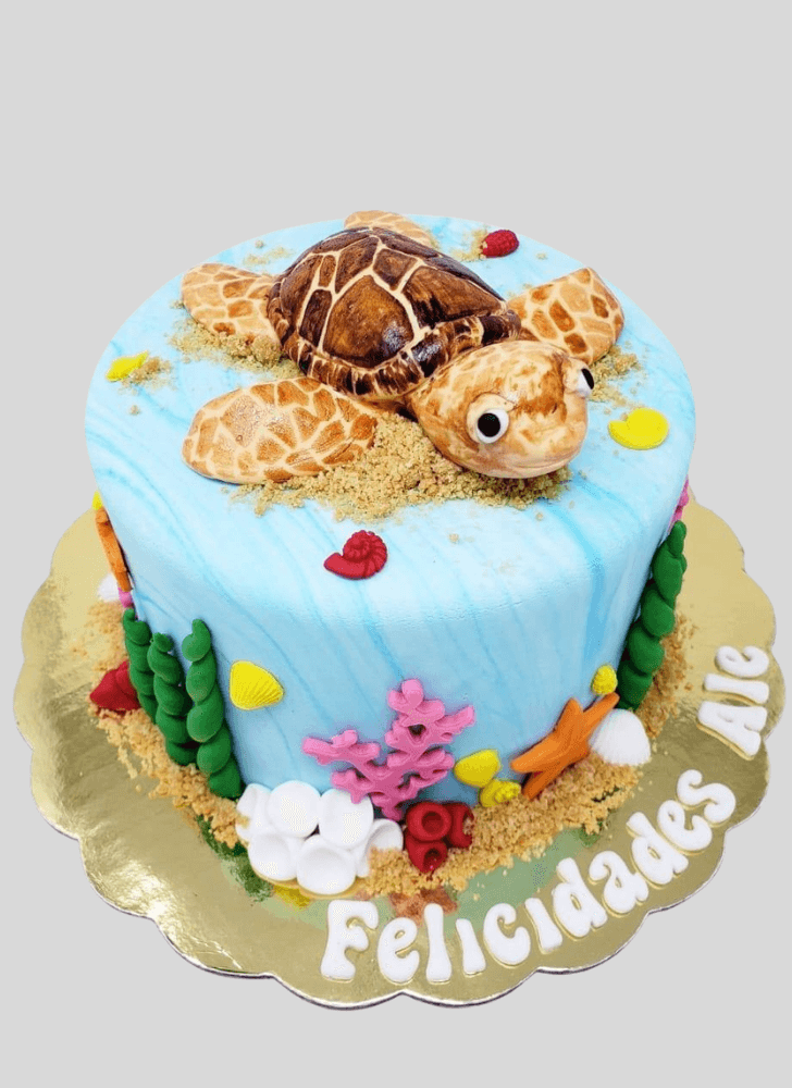 Enticing Turtle Cake