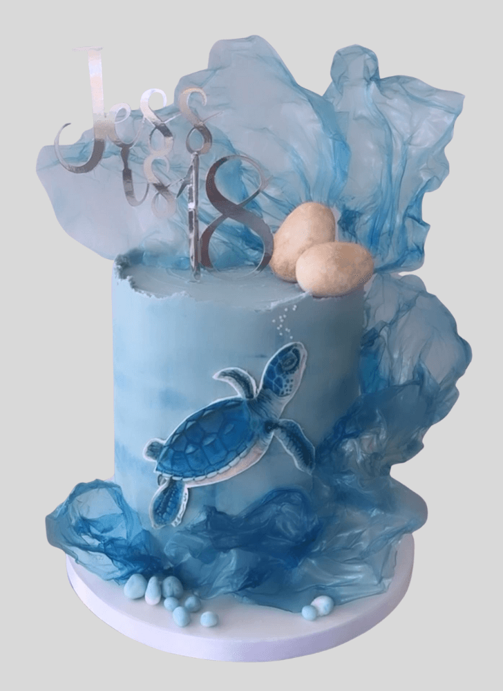 Fine Turtle Cake