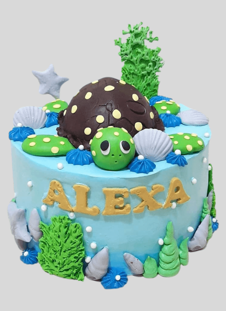 Magnificent Turtle Cake