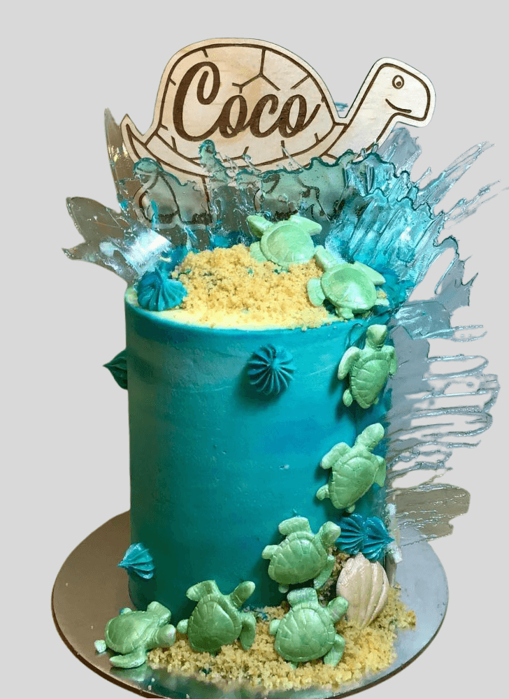 Radiant Turtle Cake