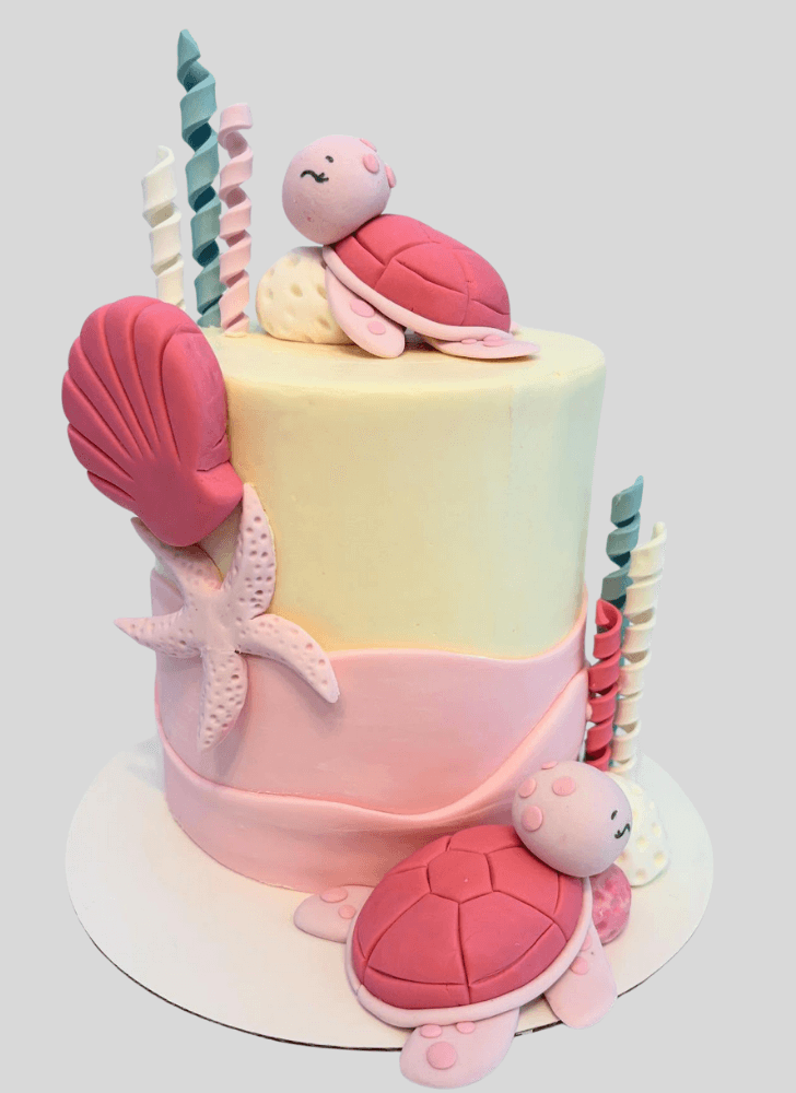 Ravishing Turtle Cake