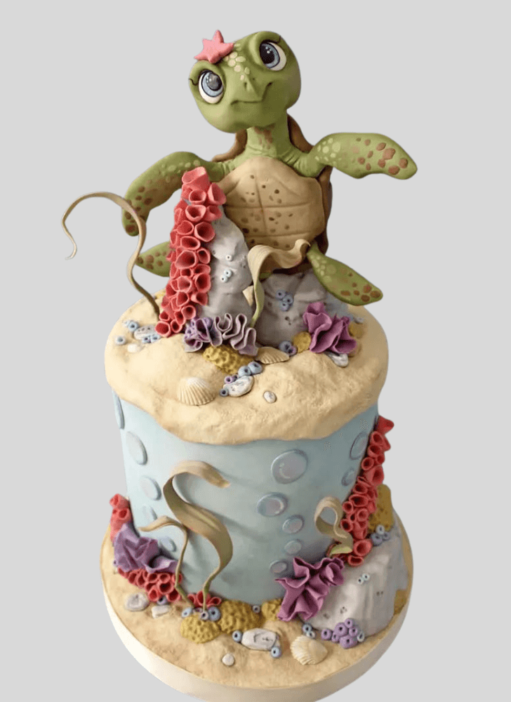Slightly Turtle Cake