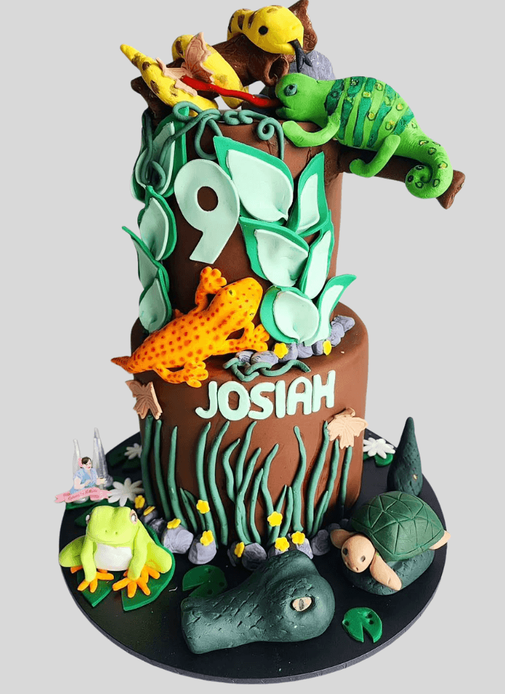 Splendid Turtle Cake