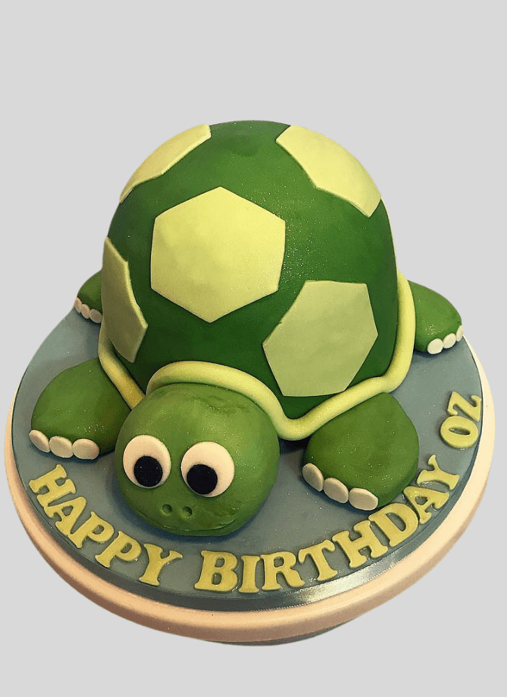Superb Turtle Cake