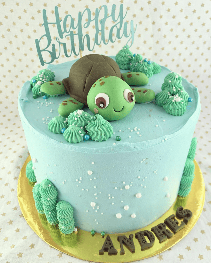 Admirable Turtle Cake Design