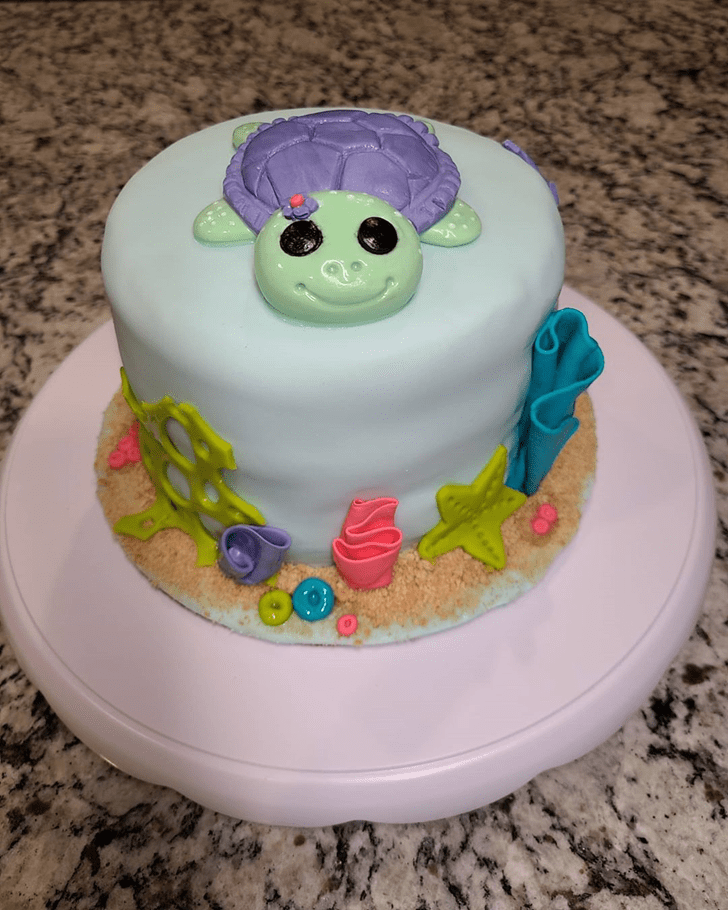 Alluring Turtle Cake