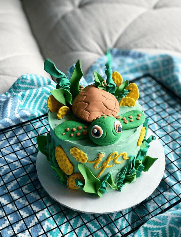 Appealing Turtle Cake
