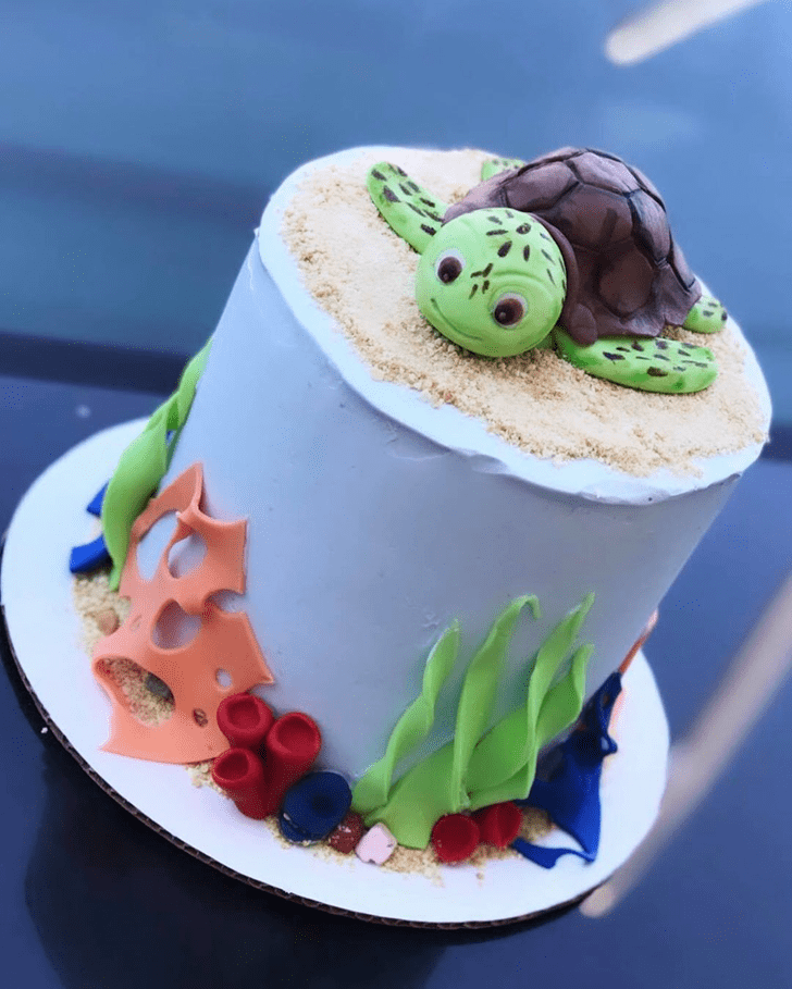 Charming Turtle Cake