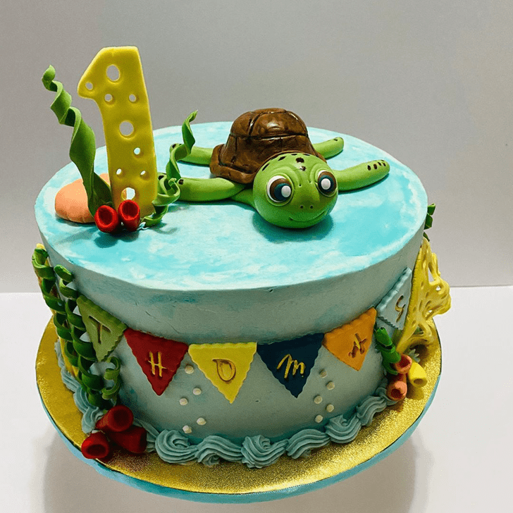 Comely Turtle Cake