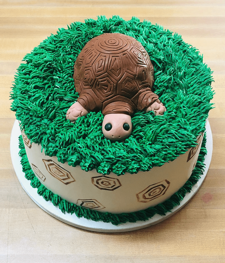 Delicate Turtle Cake