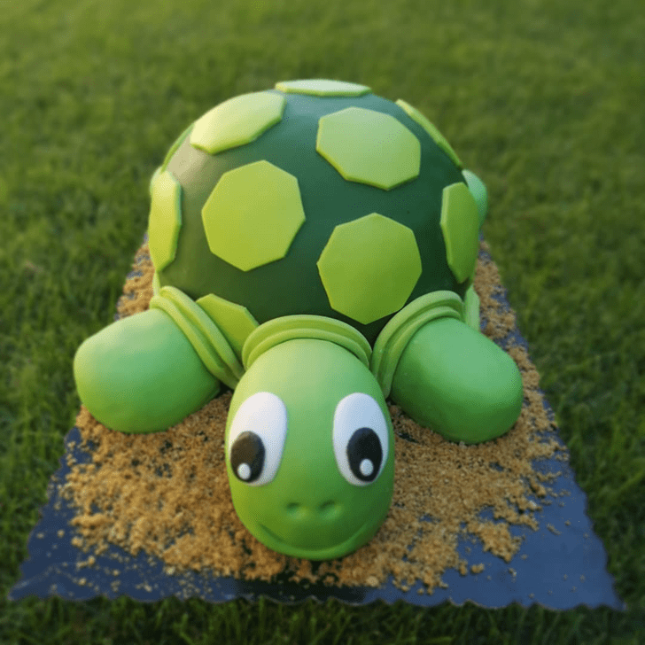 Divine Turtle Cake