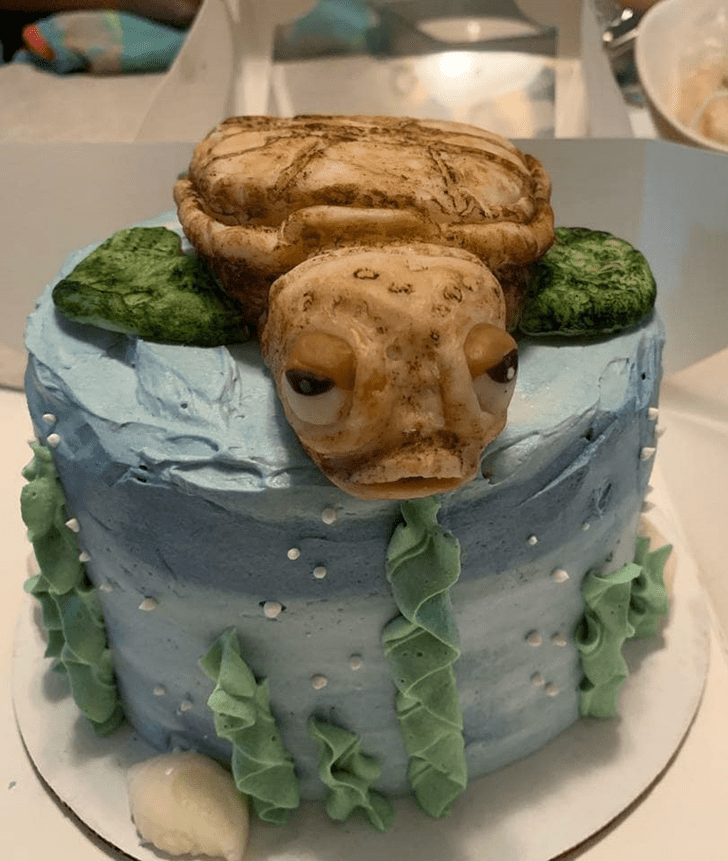 Fine Turtle Cake