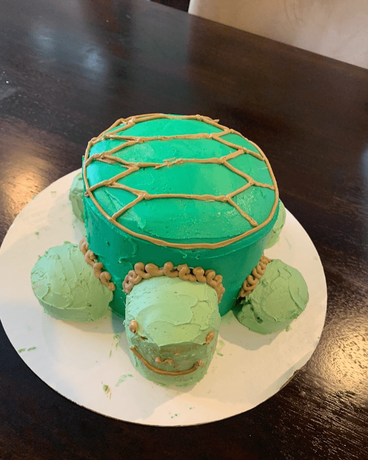 Gorgeous Turtle Cake