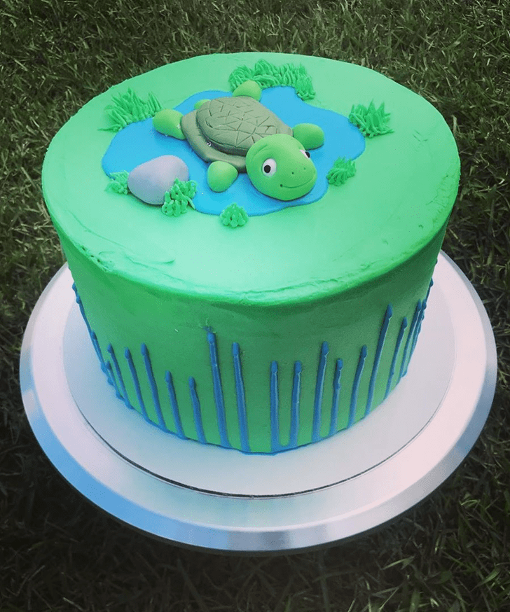 Grand Turtle Cake