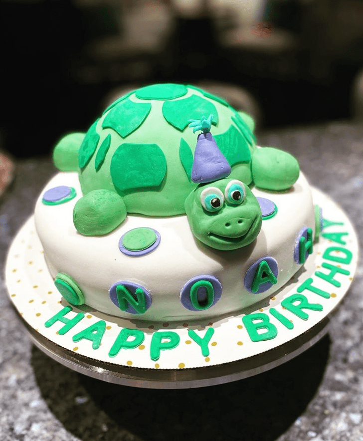 Ideal Turtle Cake