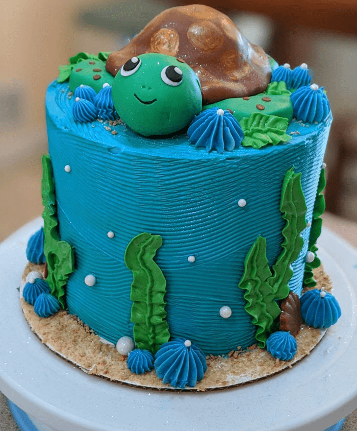 Lovely Turtle Cake Design