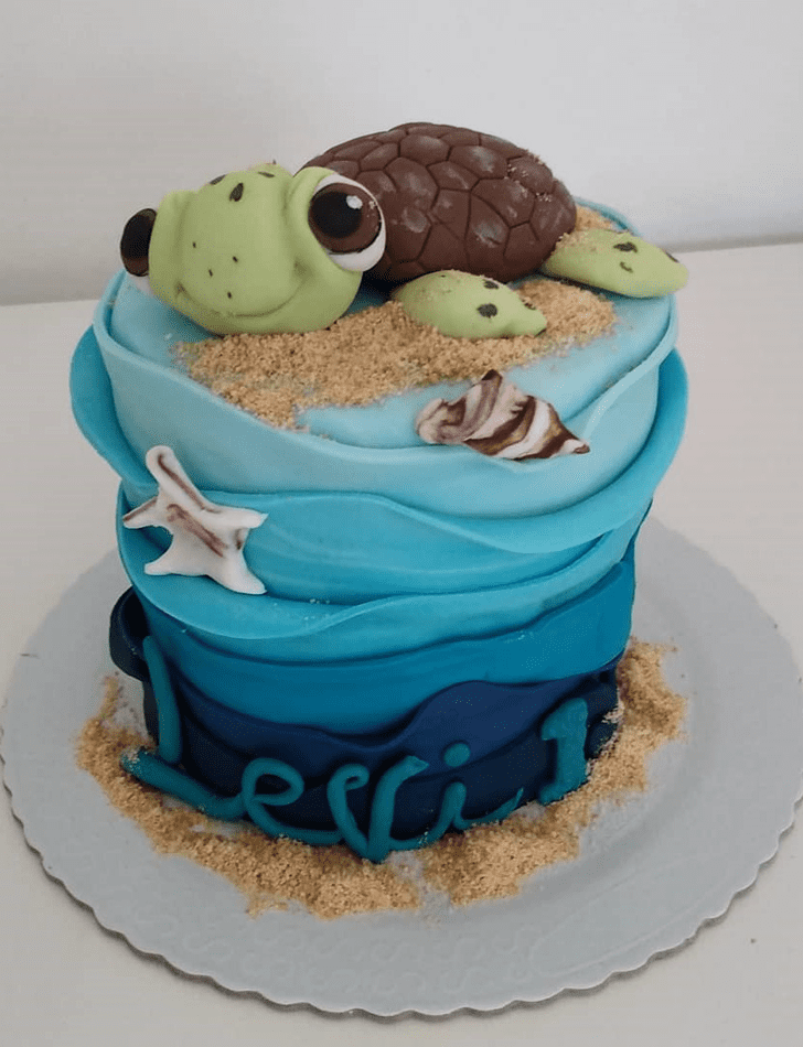 Magnetic Turtle Cake