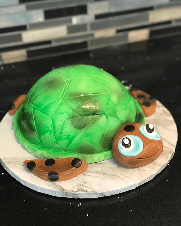 Mesmeric Turtle Cake